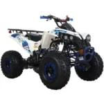 125c1-1.webp