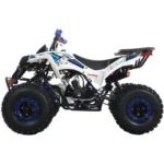 125c1-1.webp
